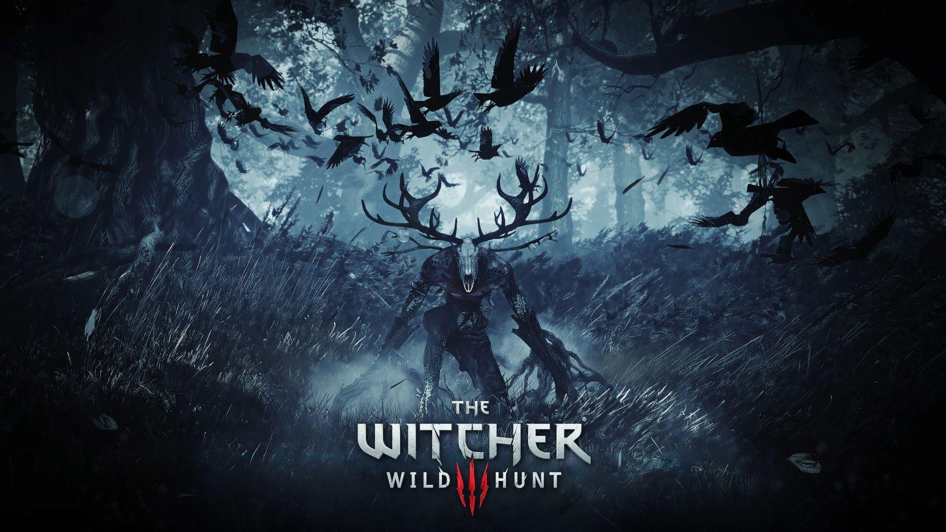 1920x1080 The Witcher 3 The Dark Forest Desktop Wallpaper, Desktop