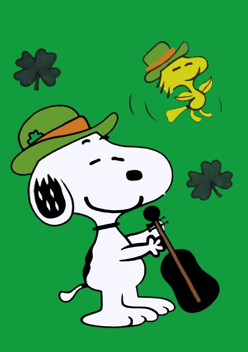 800x1140 Snoopy St. Patrick Day Wallpaper. NON VINTAGE FLAG, Phone