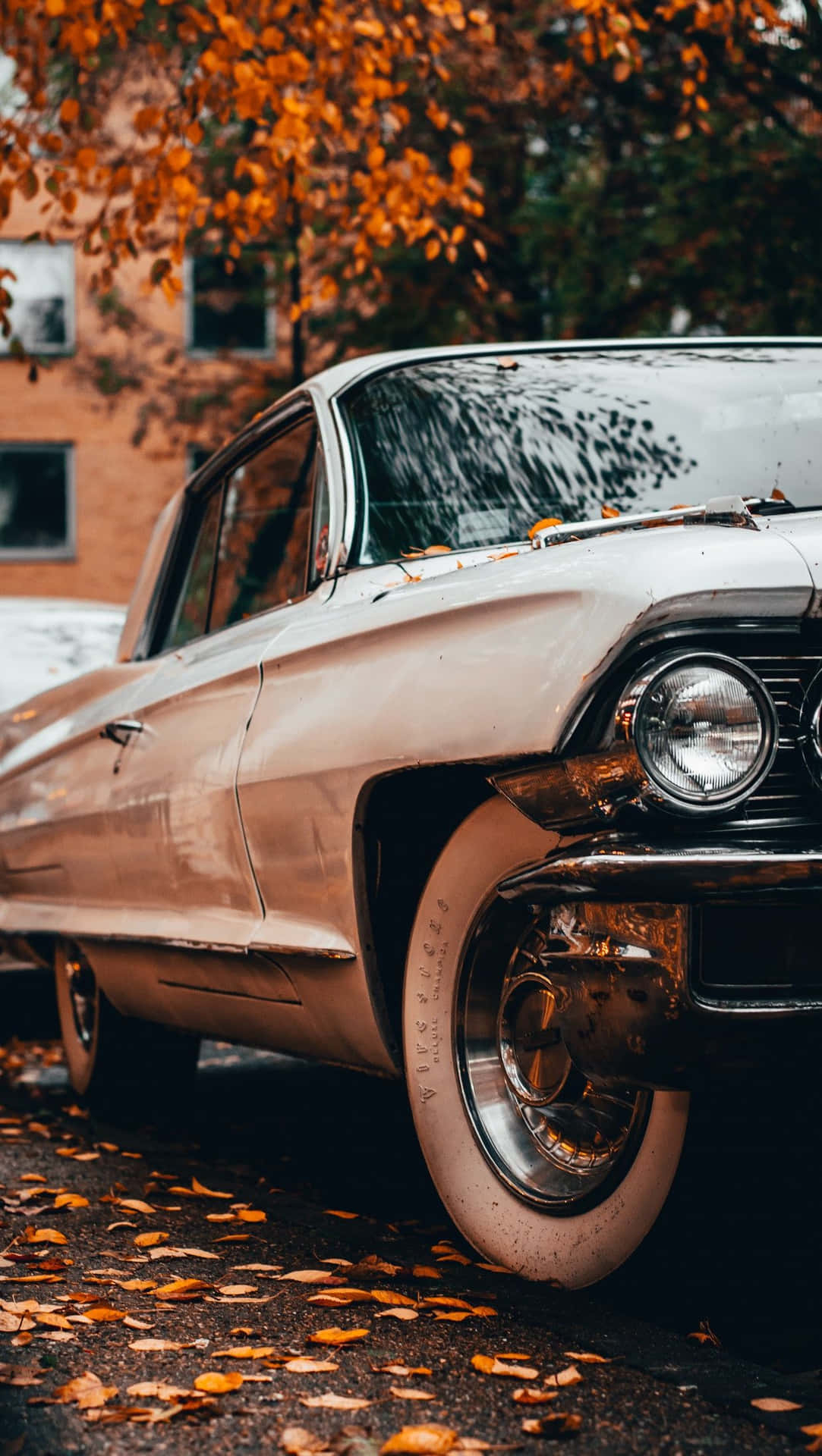 1090x1920 Download Vintage Car With Autumn Leaves iPhone Wallpaper, Phone