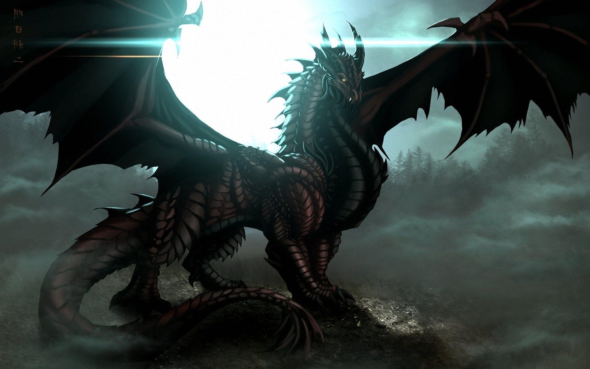 1920x1200 Dragon Wallpaper HD Background, Image, Pics, Photo Free Download, Desktop