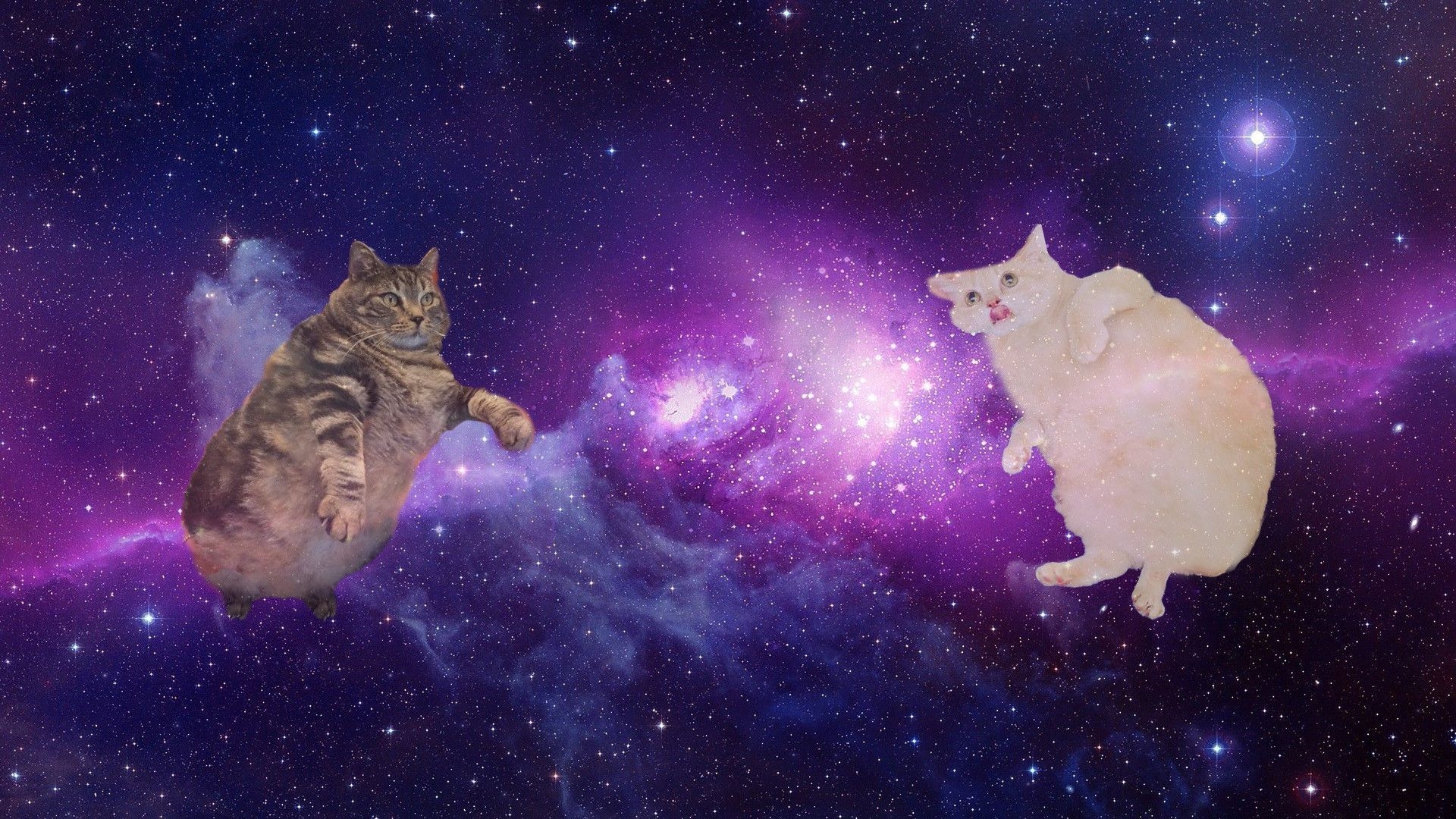 1920x1080 Galaxy Cat Desktop Wallpaper Free Galaxy Cat Desktop, Desktop