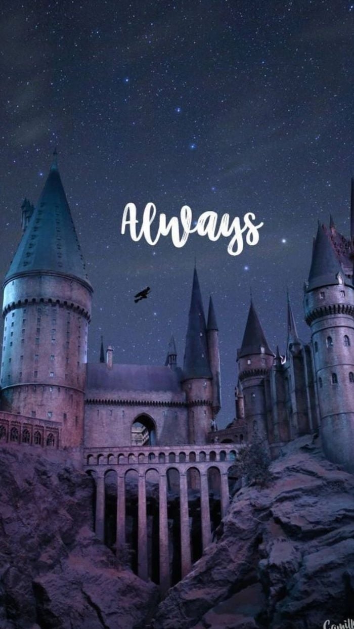 700x1250 ideas for a magical Harry Potter wallpaper, Phone