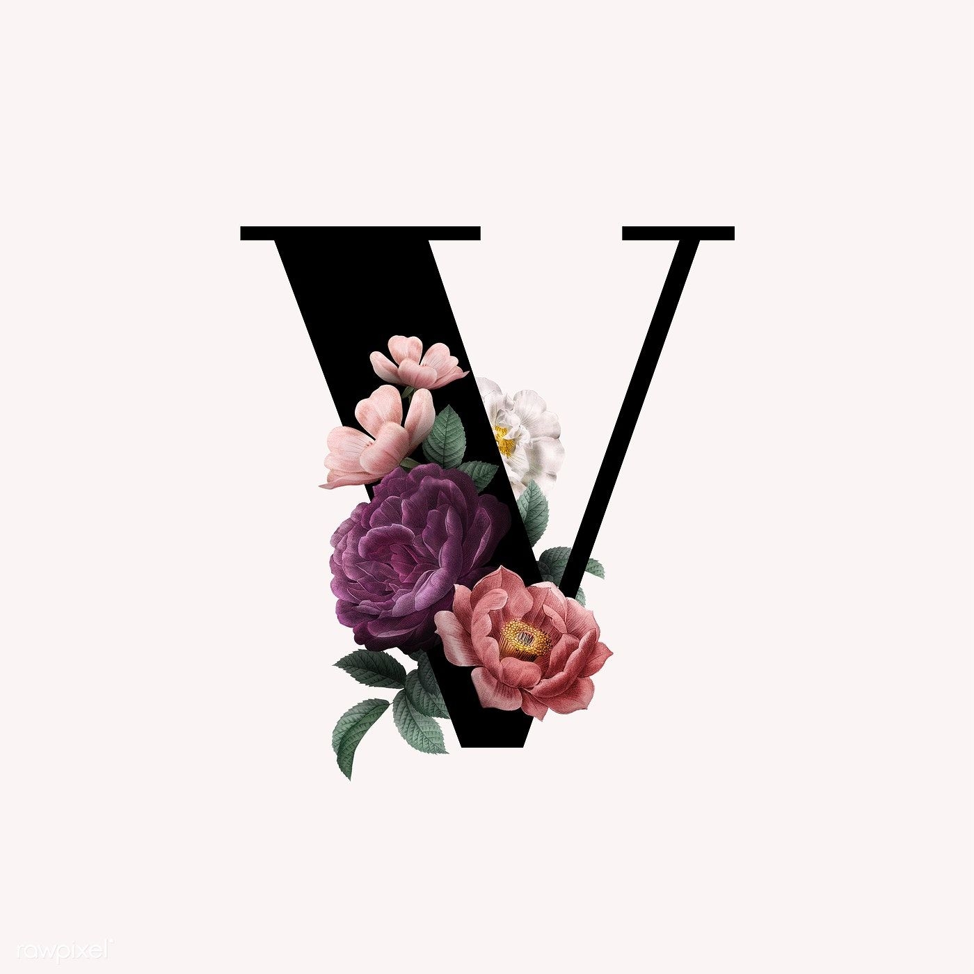 1400x1400 Classic and elegant floral alphabet font letter V. free image by rawpixel.com. Fonts alphabet, Lettering alphabet fonts, Lettering fonts, Phone