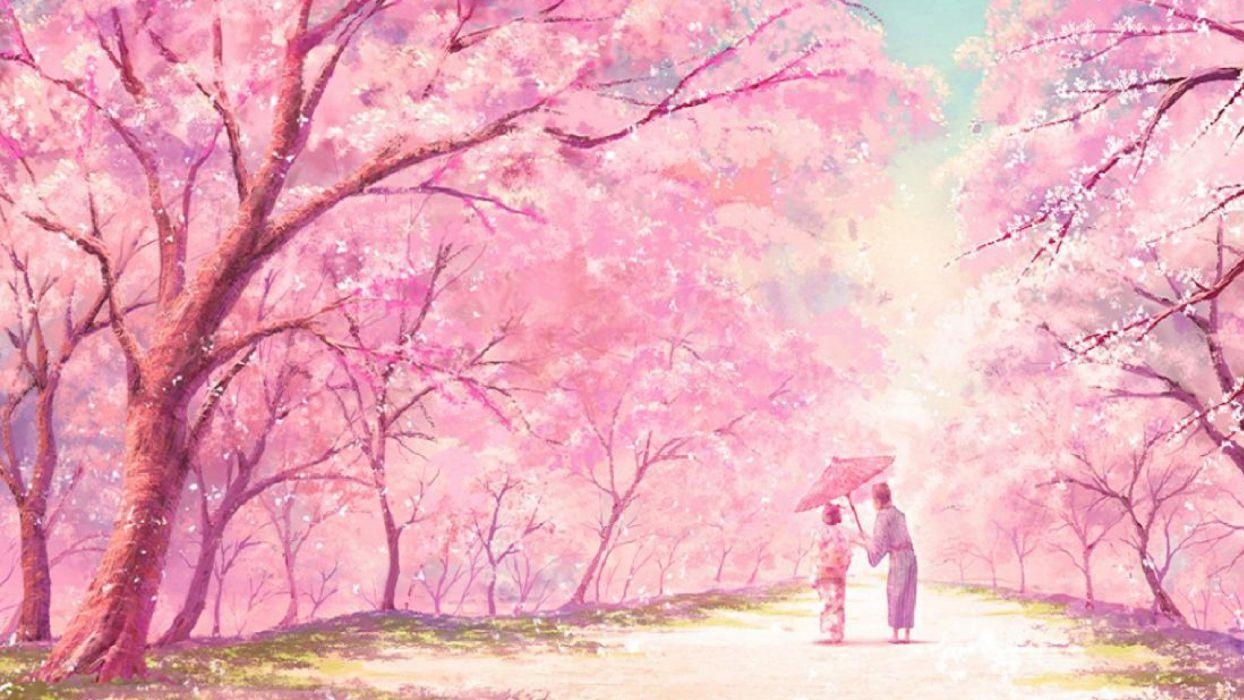 1250x700 cherry blossom anime wallpaper, Desktop