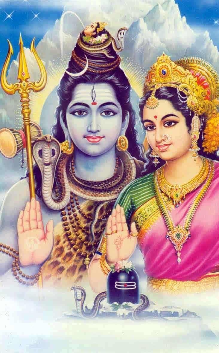 740x1190 Shiva Parvathi HD Wallpaper for Android, Phone