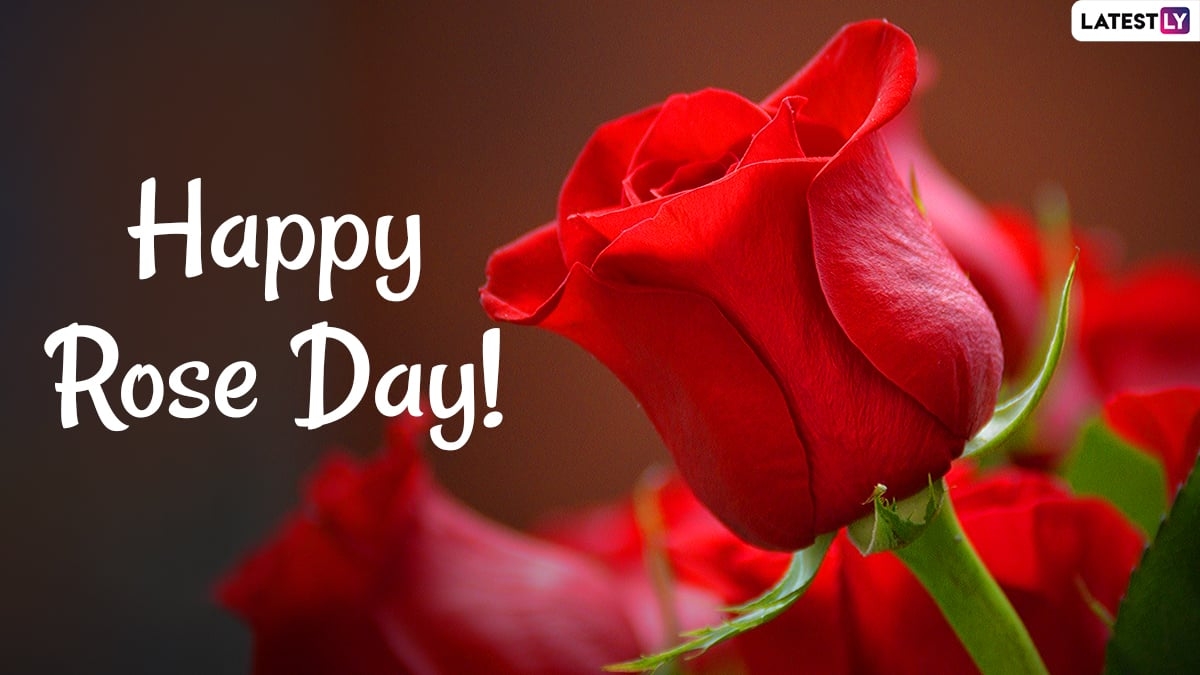 1200x680 Happy Rose Day 2021 HD Image, Desktop