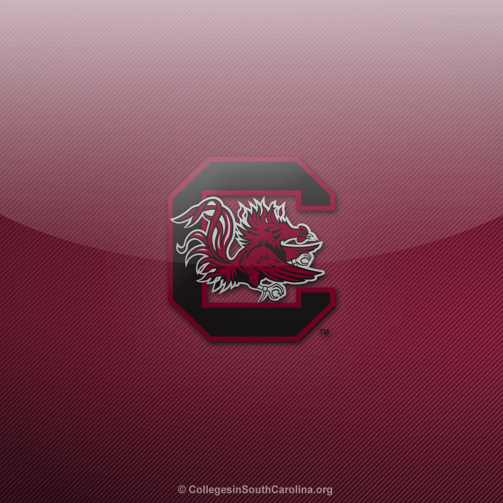 1030x1030 South Carolina Gamecocks iPad Wallpaper in South Carolina, Phone