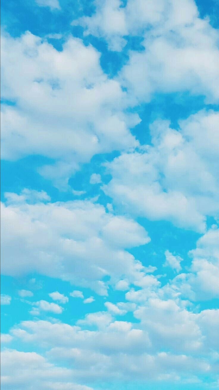 740x1310 Aesthetic Pict, Phone