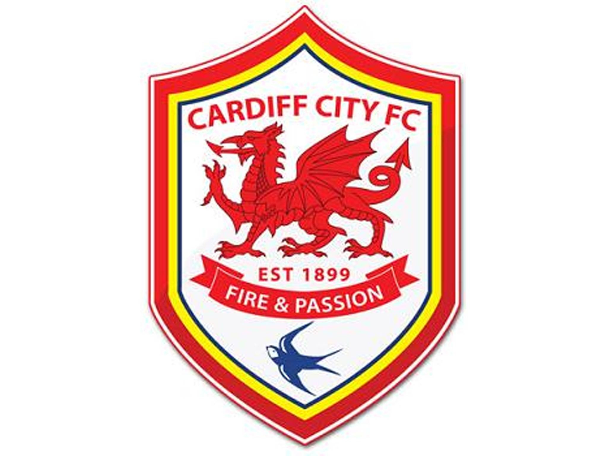 2060x1540 Cardiff City F C Wallpaper HD Background, Desktop