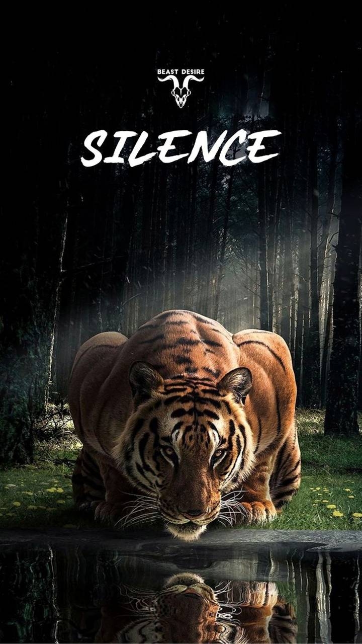 720x1280 Tiger Wallpaper, Phone