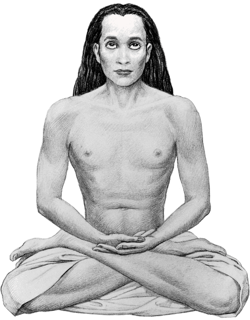 800x1030 Mahavatar Babaji, Phone