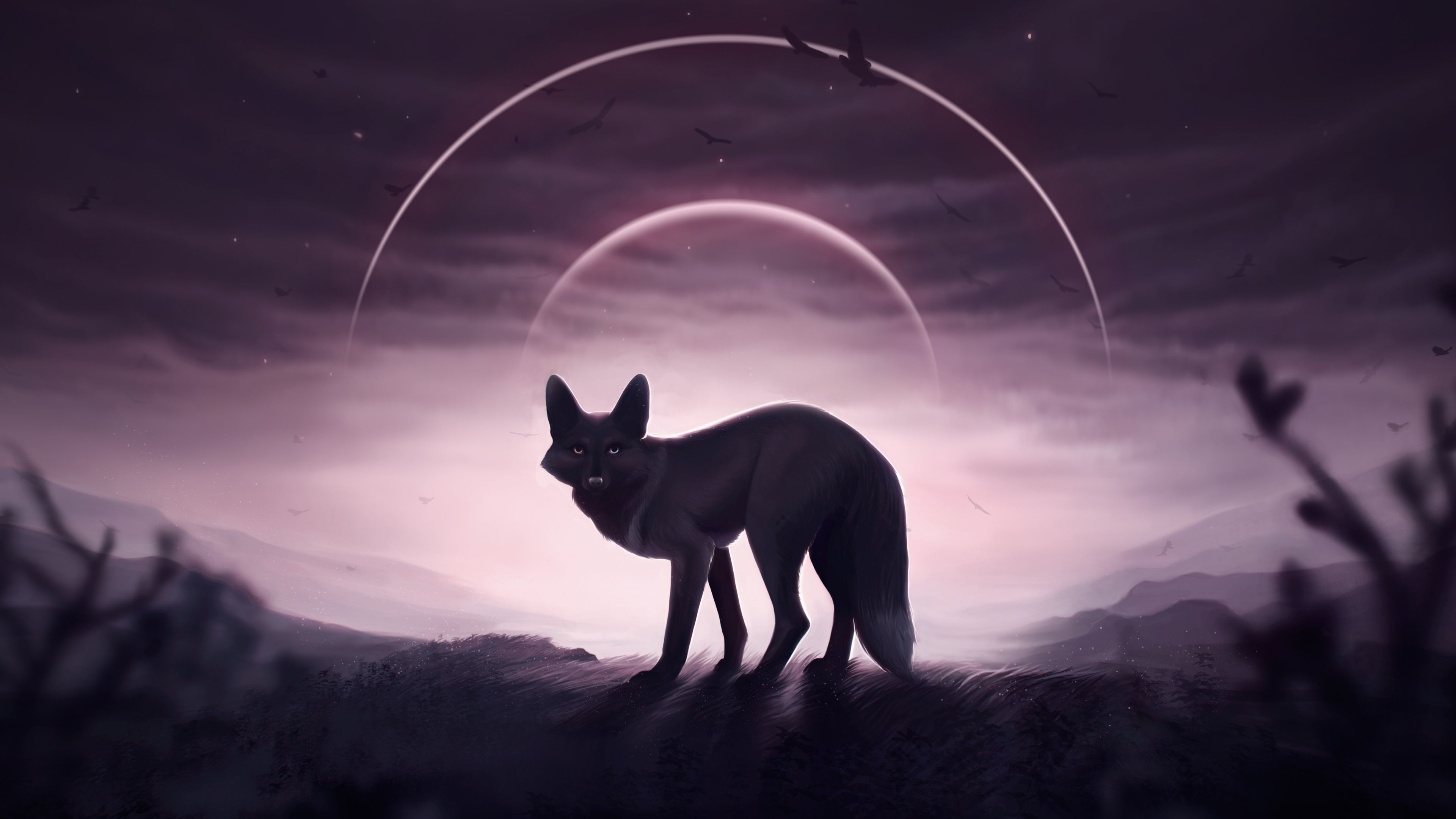 3840x2160 Wallpaper 4k Fox Wolf 4k 4k Wallpaper, Artist Wallpaper, Artwork Wallpaper, Wallpaper, Digital Art Wallpaper, Fox Wallpaper, Hd Wallpaper, Wolf Wallpaper, Desktop