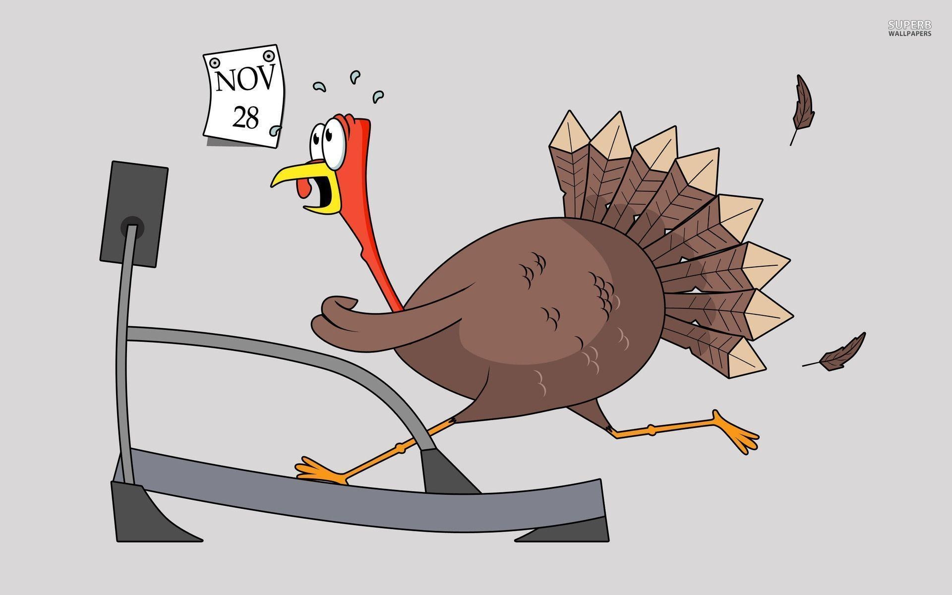 1920x1200 Thanksgiving turkey on a treadmill wallpaper wallpaper - #, Desktop