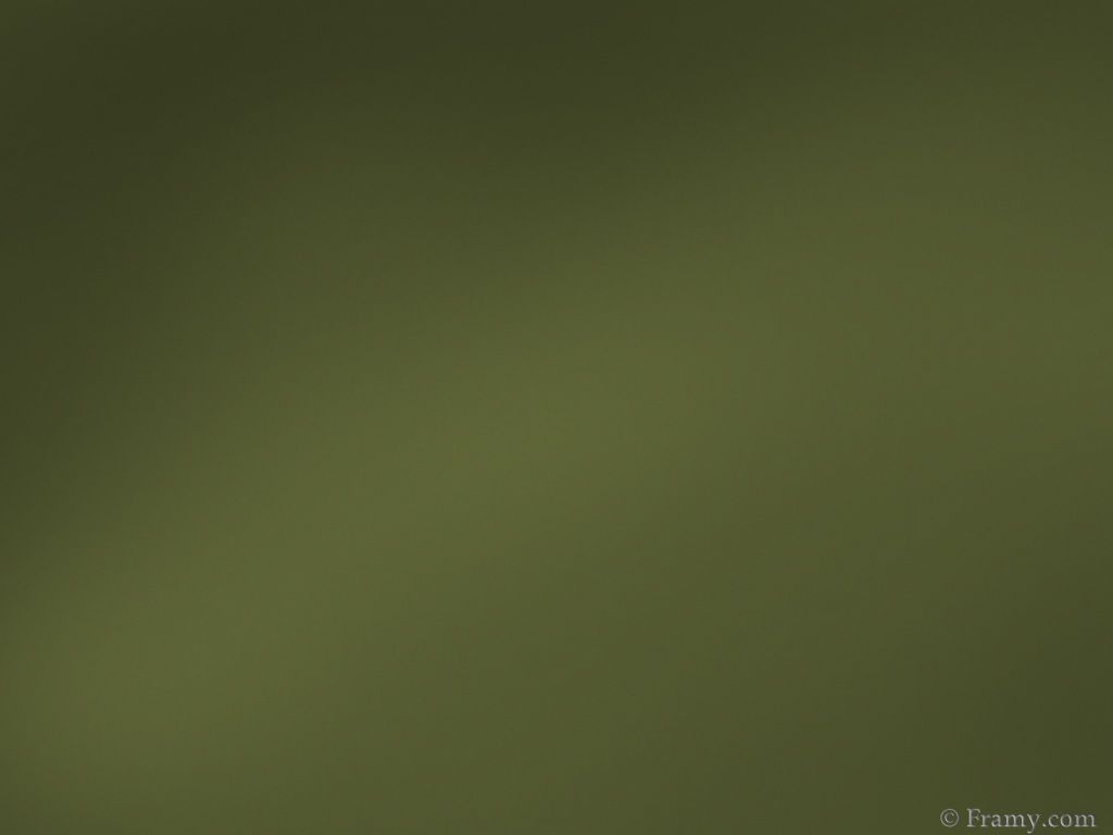 1030x770 Olive Green Wallpaper, Desktop