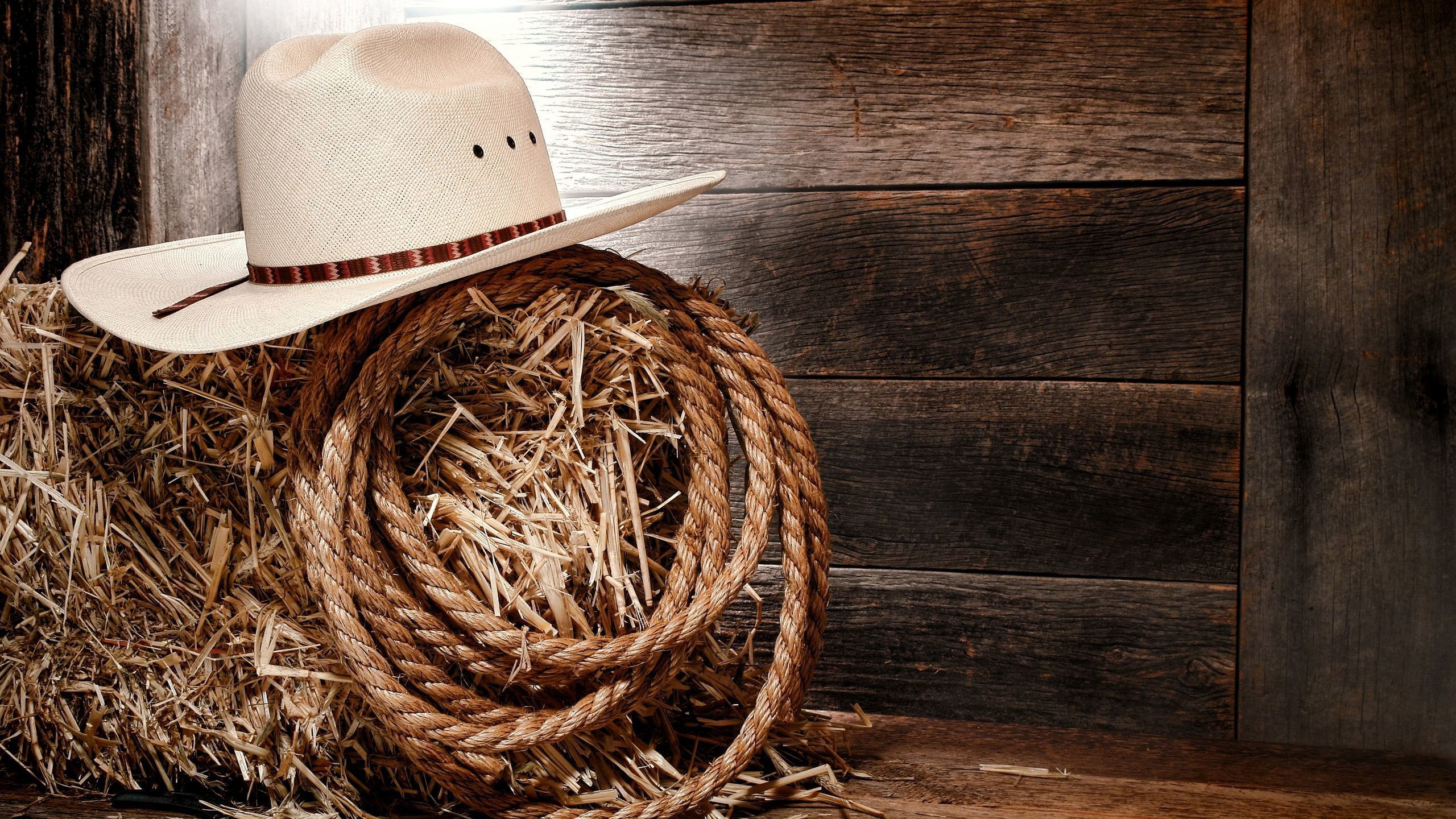 2560x1440 Download wallpaper USA, hat, Style, wooden, country, Texas, cowboy, boots, America, rope, hay, boards, horseshoe, cowboy hat, section miscellanea in resolution, Desktop