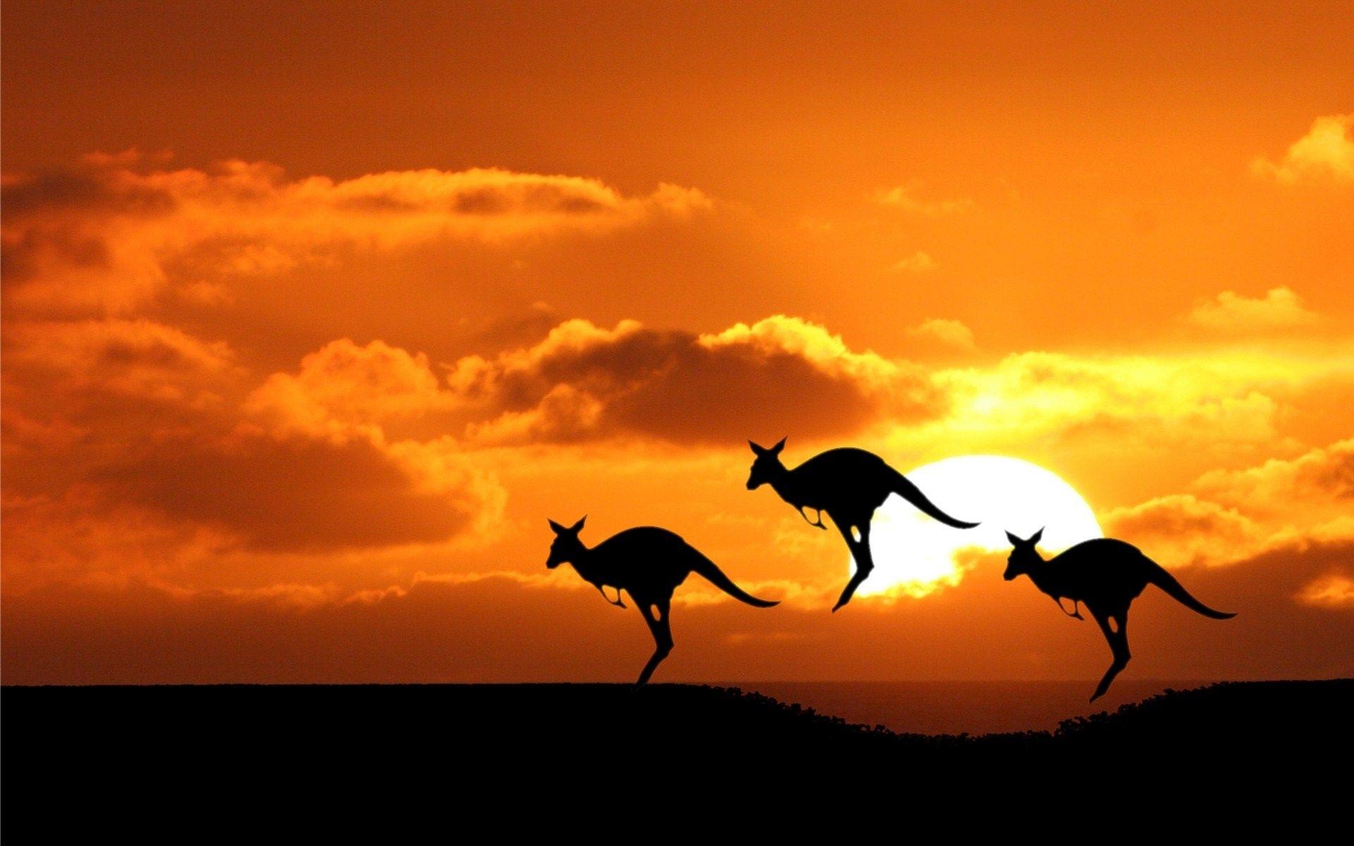 1920x1200 Australia Wallpaper, 28 Widescreen HD Widescreen Wallpaper, Desktop