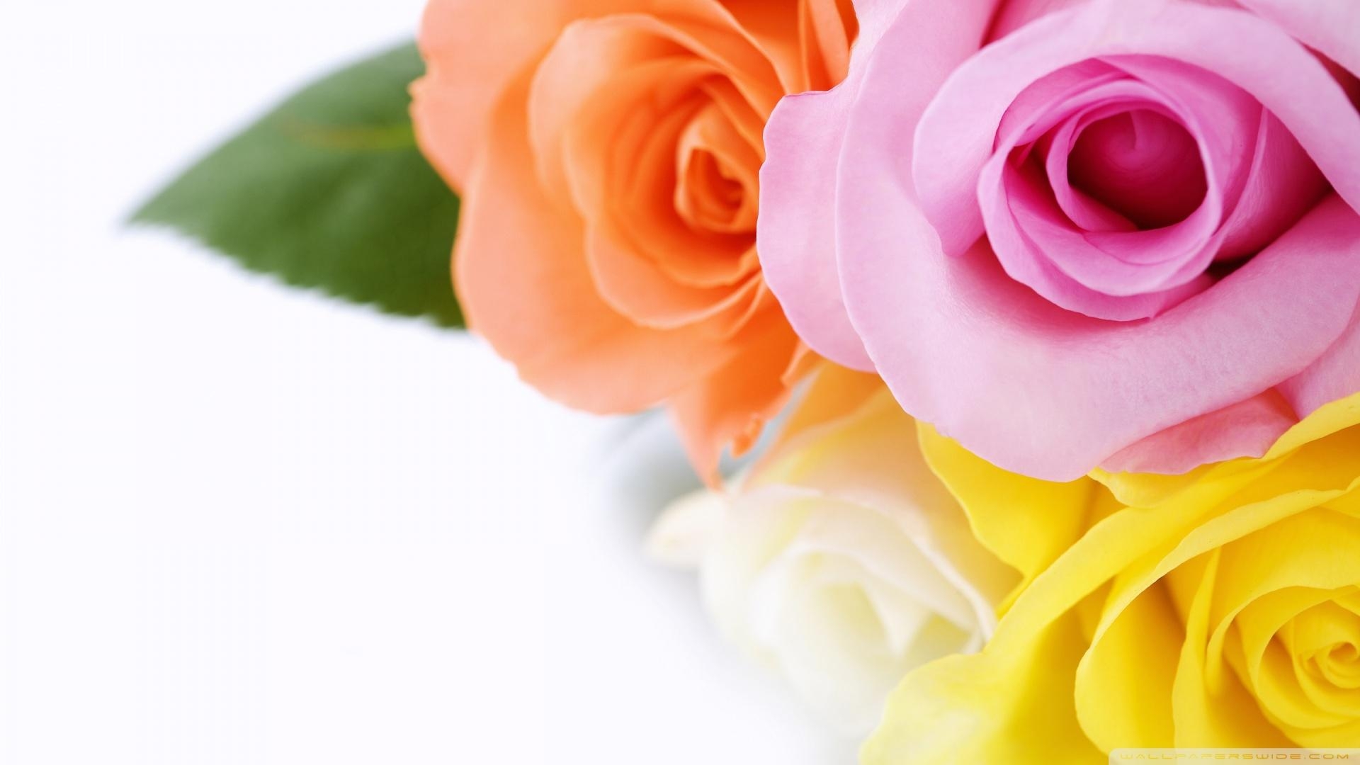 1920x1080 Download Different Wallpaper Wallpaper For your screen, Desktop