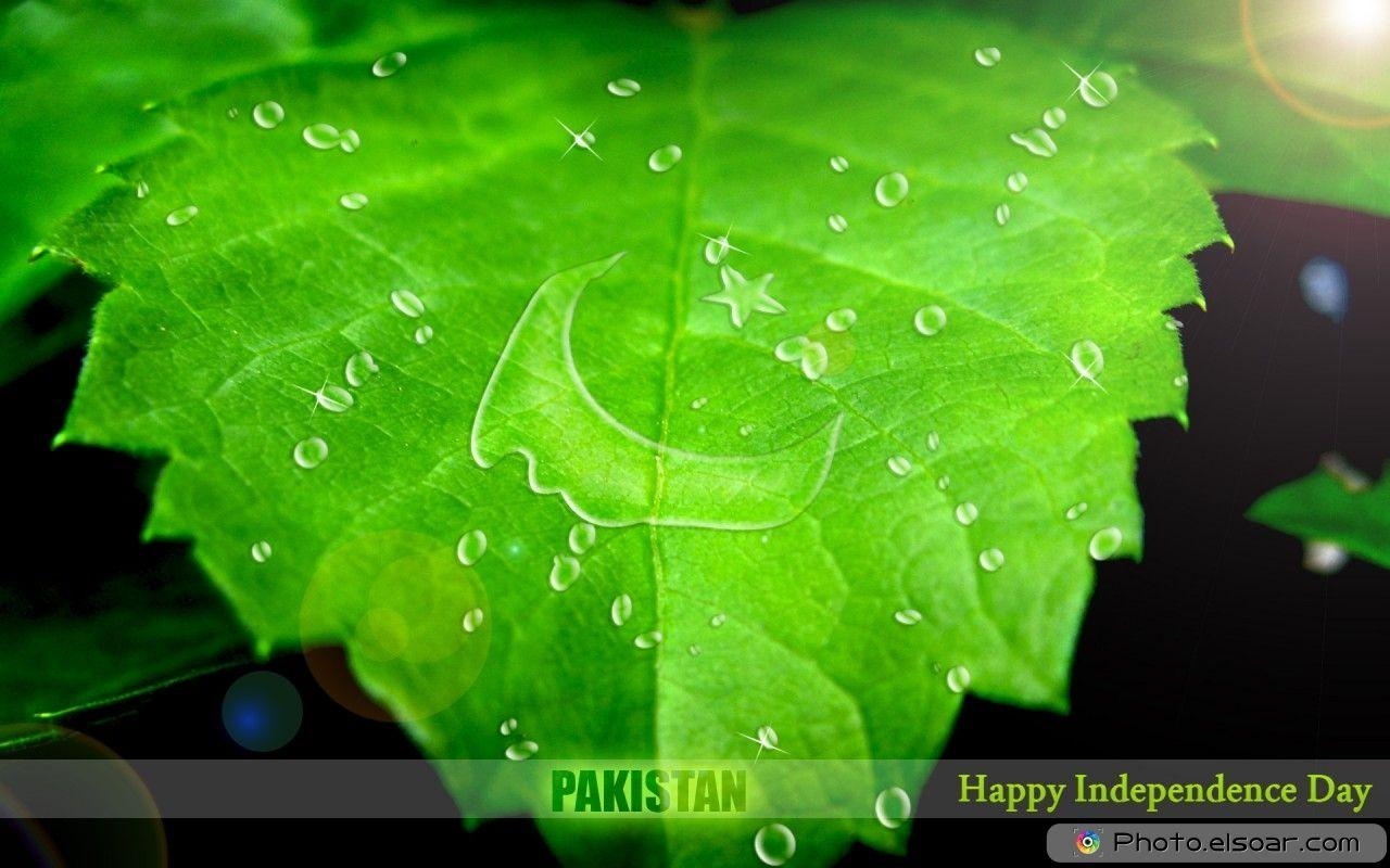 1280x800 Happy 14 August Independence Day of Pakistan HD Wallpaper, Desktop