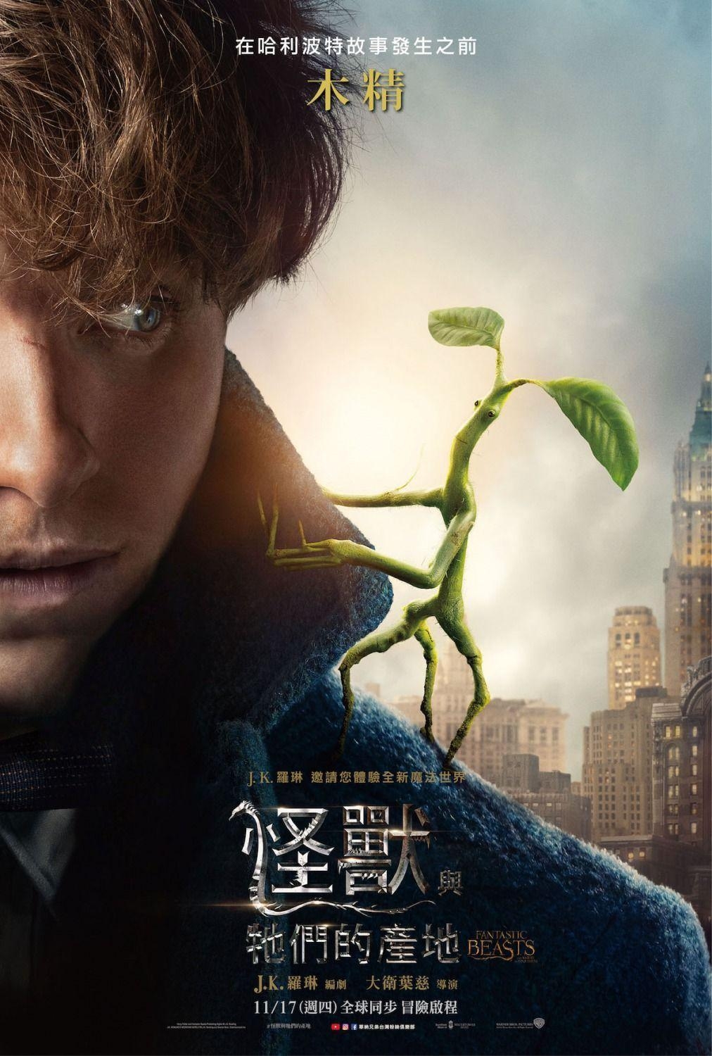 1020x1500 Fantastic Beasts and Where to Find Them(2016) HD Wallpaper From, Phone