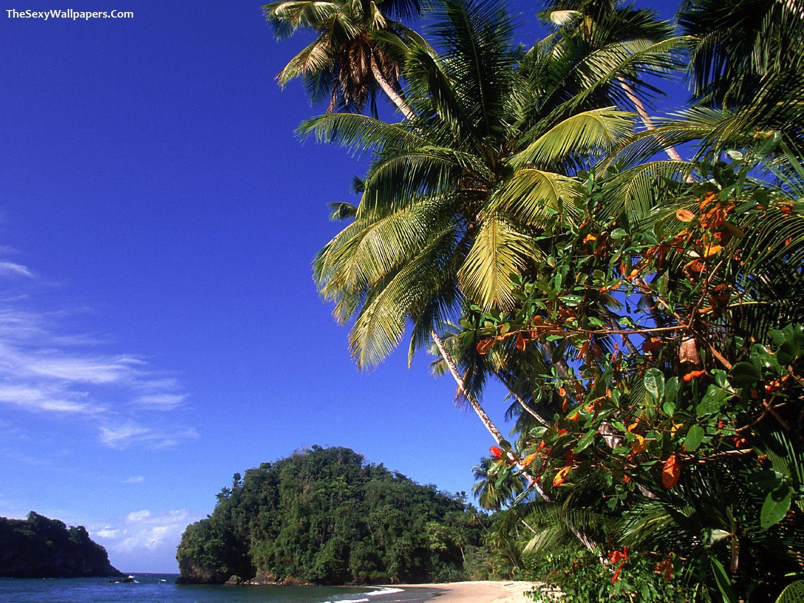 1600x1200 Paria Beach Trinidad Wallpaper, Desktop