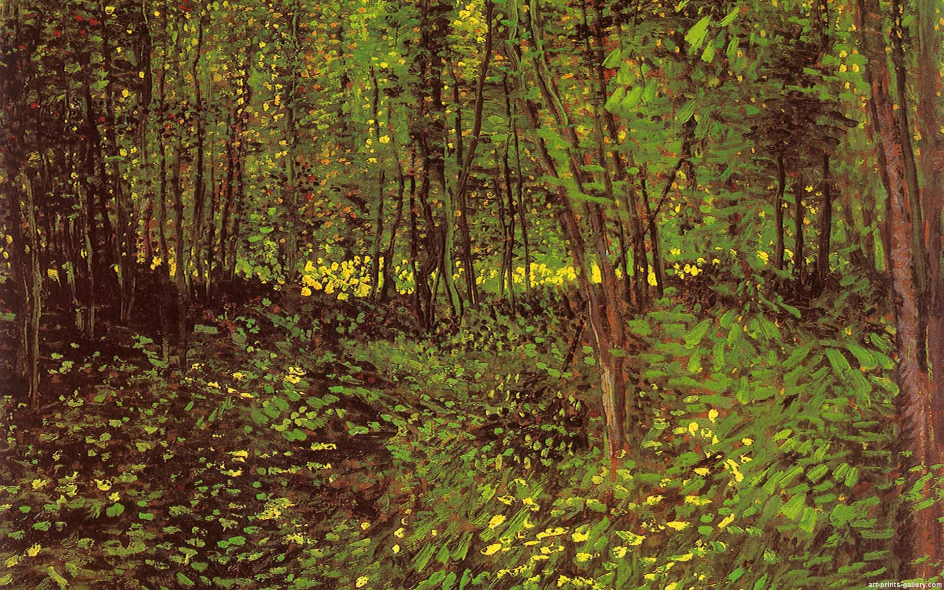 1920x1200 Vincent van Gogh Wallpaper, Desktop