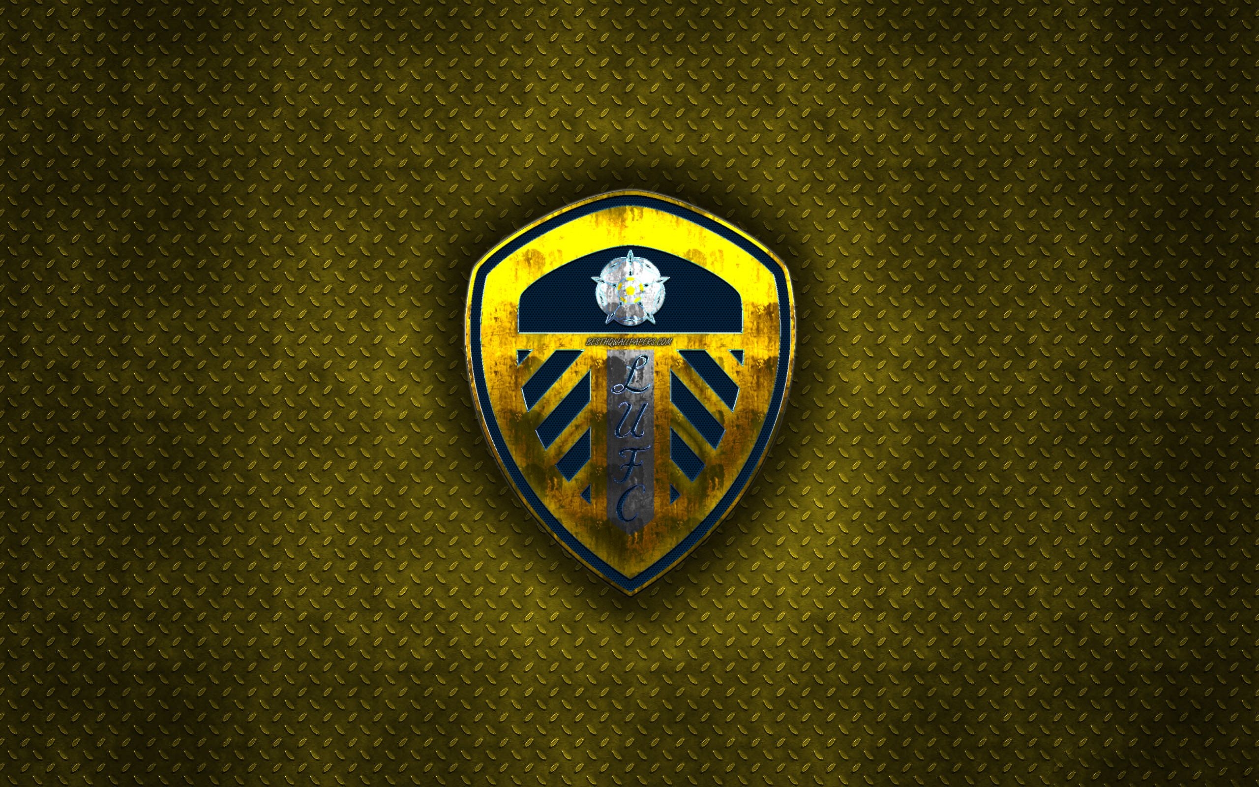 2560x1600 Download wallpaper Leeds United FC, English football club, yellow, Desktop