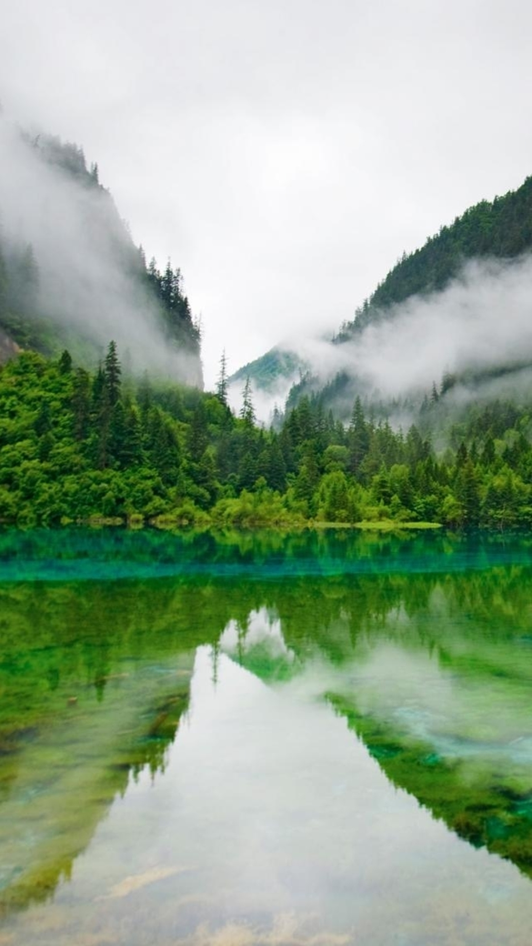 1080x1920 Free download Foggy Mountains Calm Lake Forest iPhone 6 Wallpaper Download iPhone [] for your Desktop, Mobile & Tablet. Explore Foggy Forest iPhone Wallpaper. Forest iPhone Wallpaper, Pine Forest, Phone