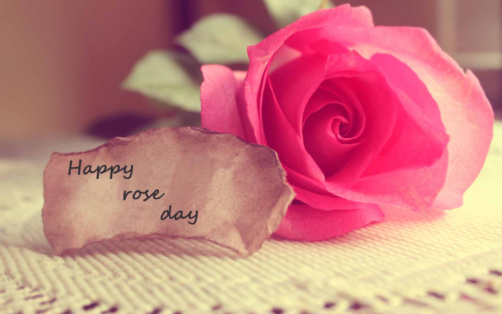 1920x1200 Happy rose day 2018 pink rose HD wallpaper, Desktop