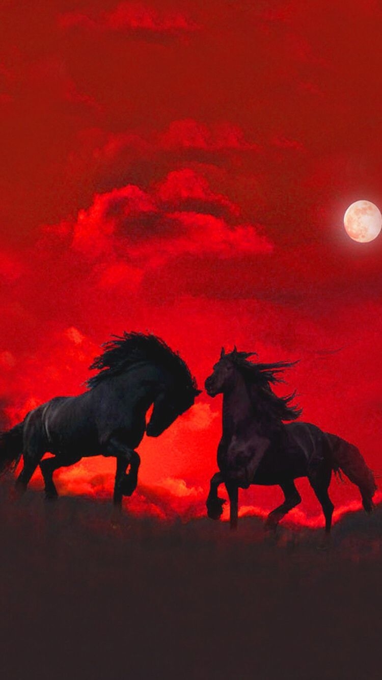 750x1340 iPhone Red Horse Wallpaper HD, Phone