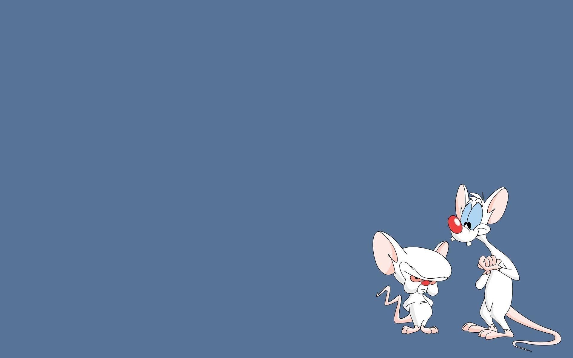 1920x1200 Pinky And The Brain Wallpaper 1 X 1200, Desktop