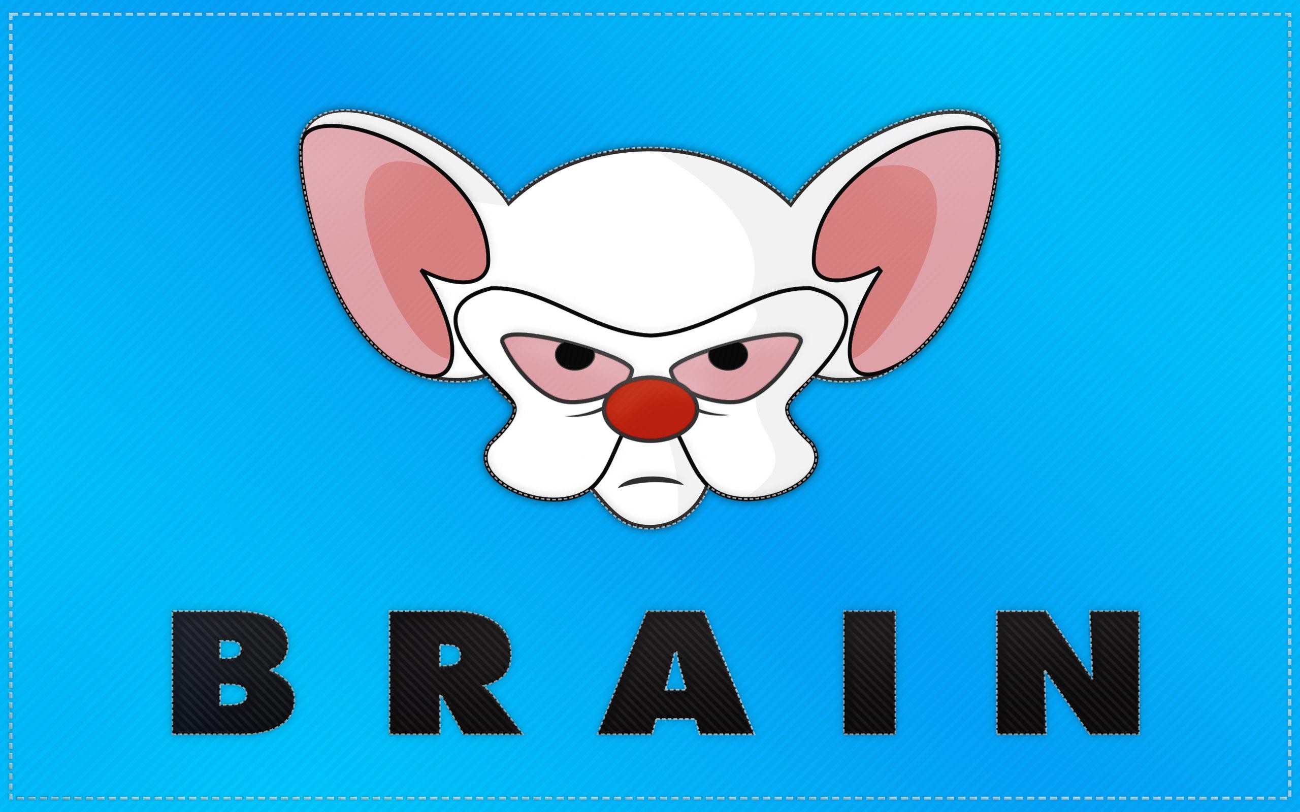 2560x1600 Pinky And The Brain Flag Wallpaper, Desktop