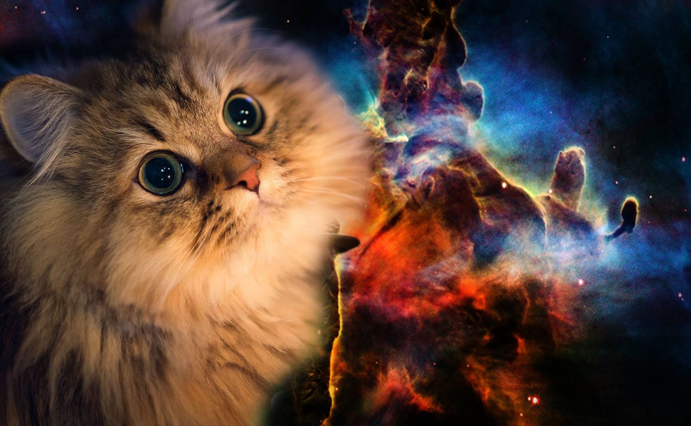 2400x1480 Cats in Space Wallpaper Free Cats in Space Background, Desktop