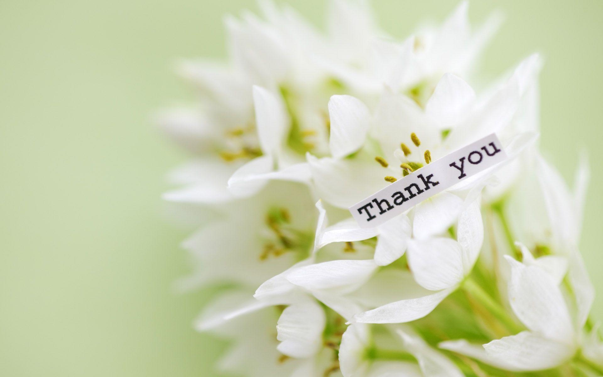1920x1200 Thank you wallpaper. My Free Wallpaper Hub, Desktop