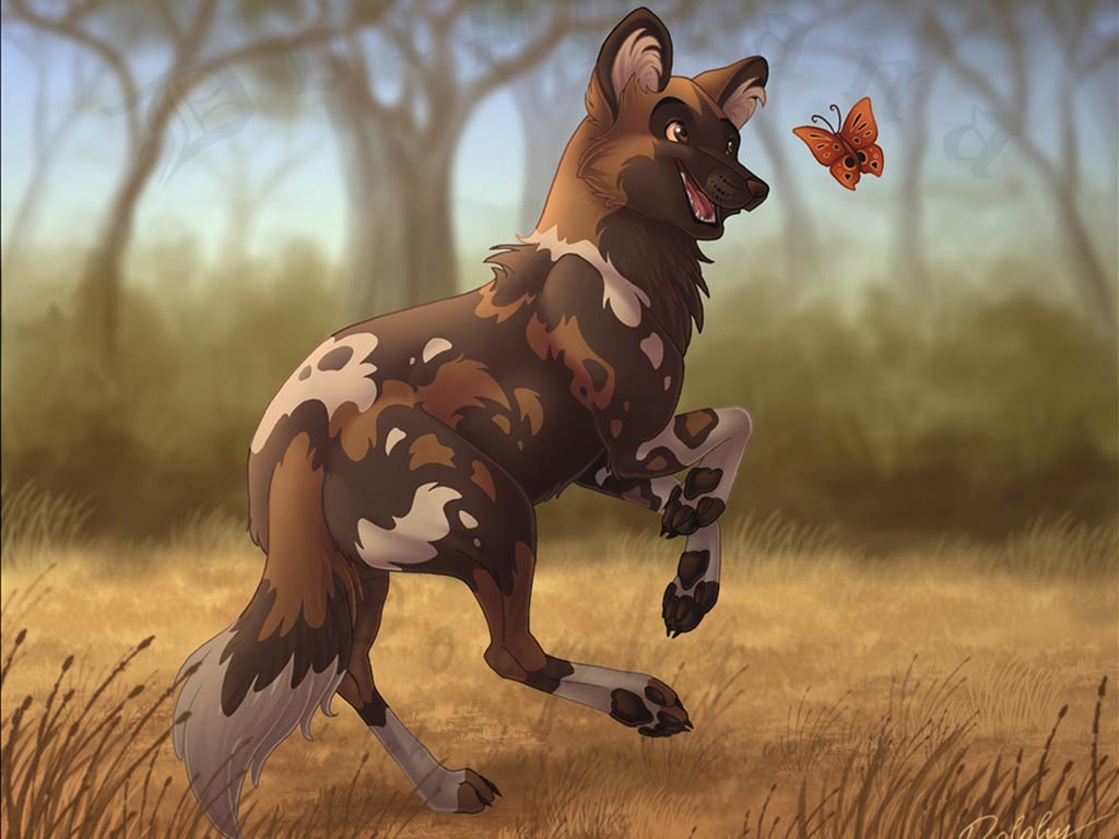 1030x770 Free download African Wild Dog Wallpaper 44 African Wild, Desktop