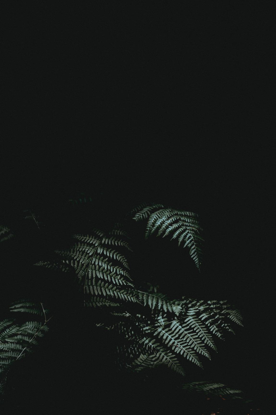 1150x1730 Aesthetic Dark Wallpaper For iPhone (Free HD Download!), Phone