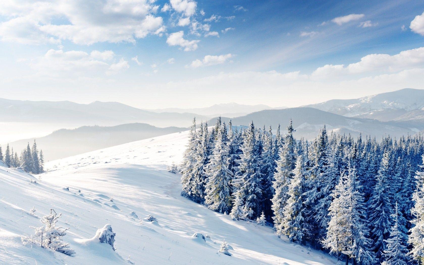 1680x1050 Winter Mountains Tree Landscape Wallpaper, iPhone Wallpaper, Desktop