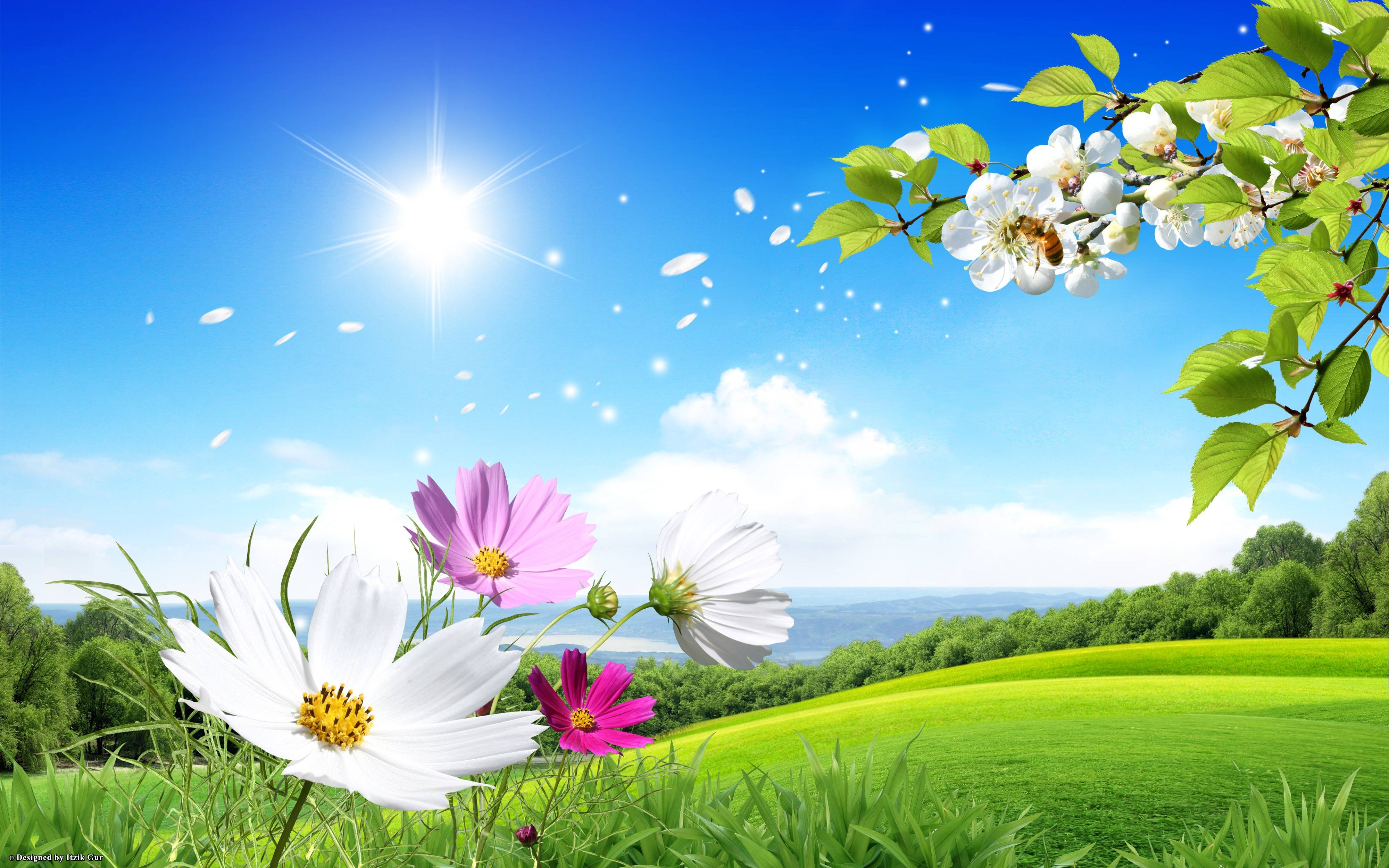 4000x2500 Download Spring Scene Flowers Green Field Nature Wallpaper, Desktop
