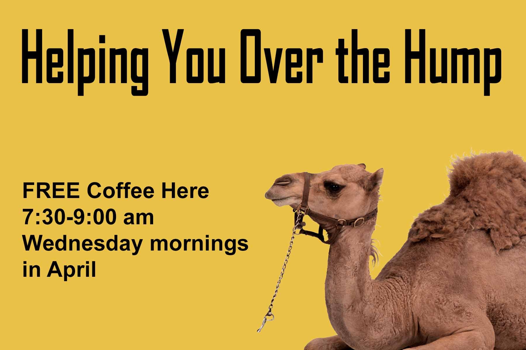 1800x1200 Free Hump Day Coffee, Desktop