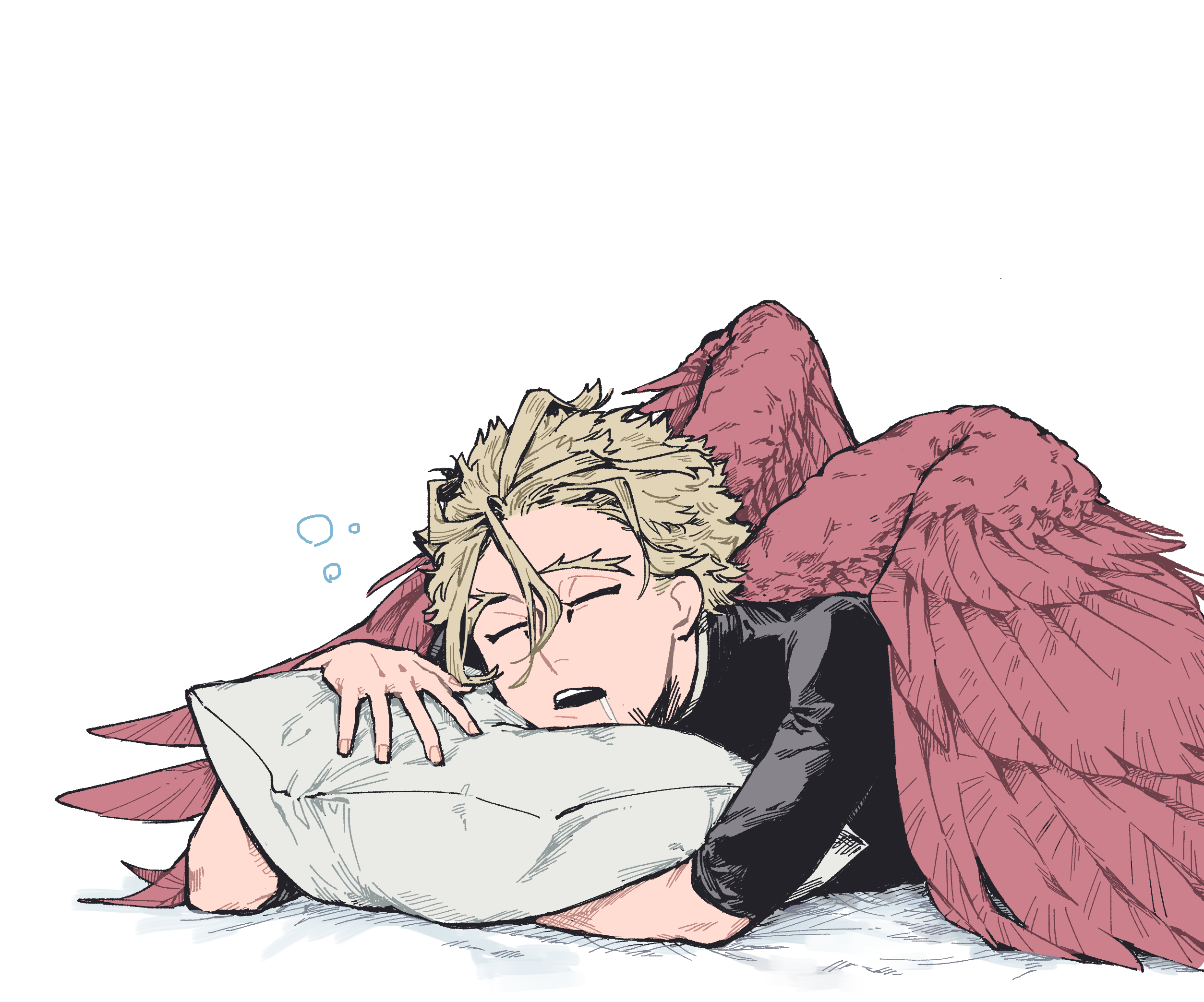 2510x2090 Hawks Fanart, Desktop