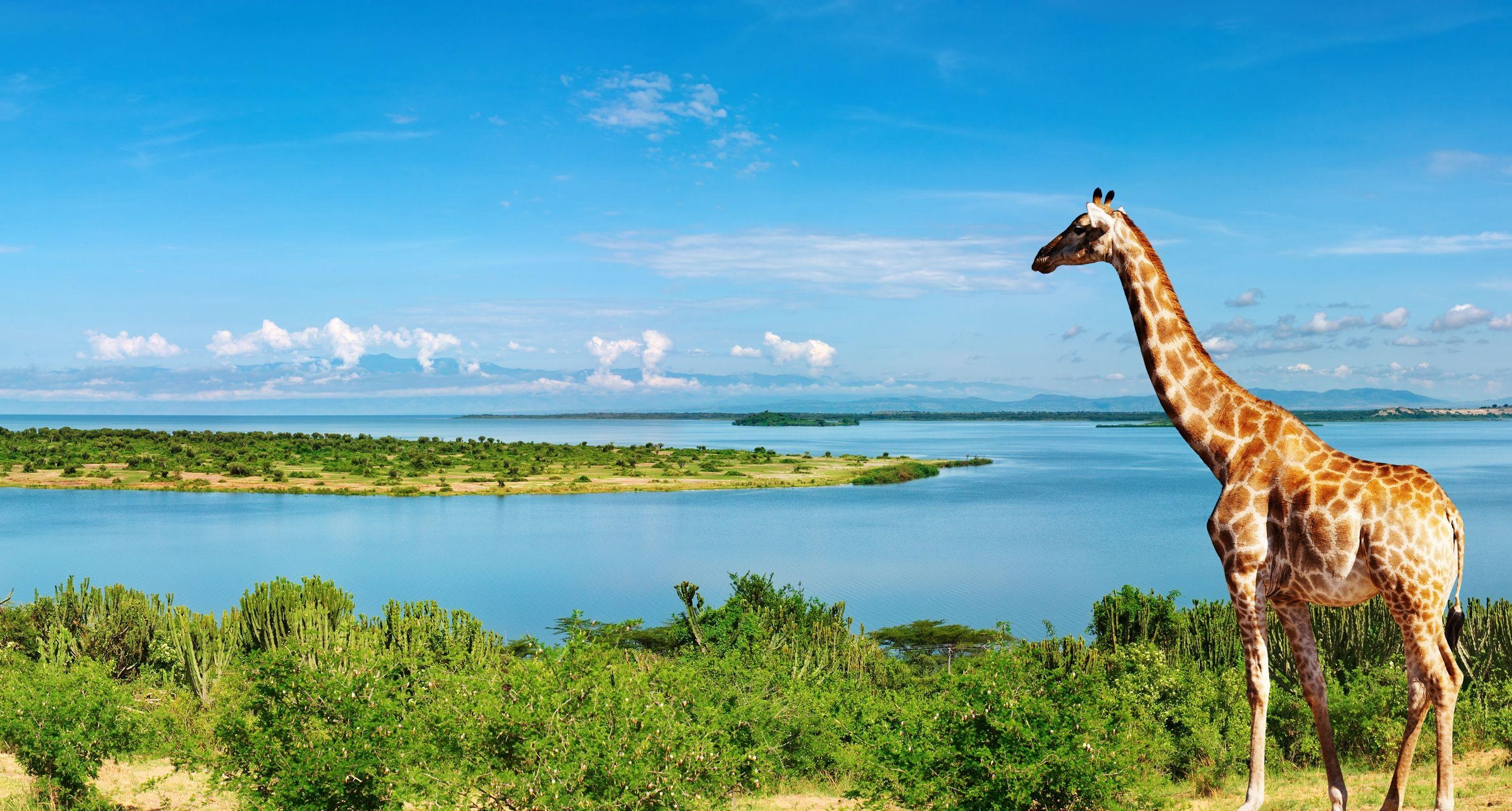 2660x1430 Nile River Uganda, Africa Full HD Wallpaper and Background, Desktop