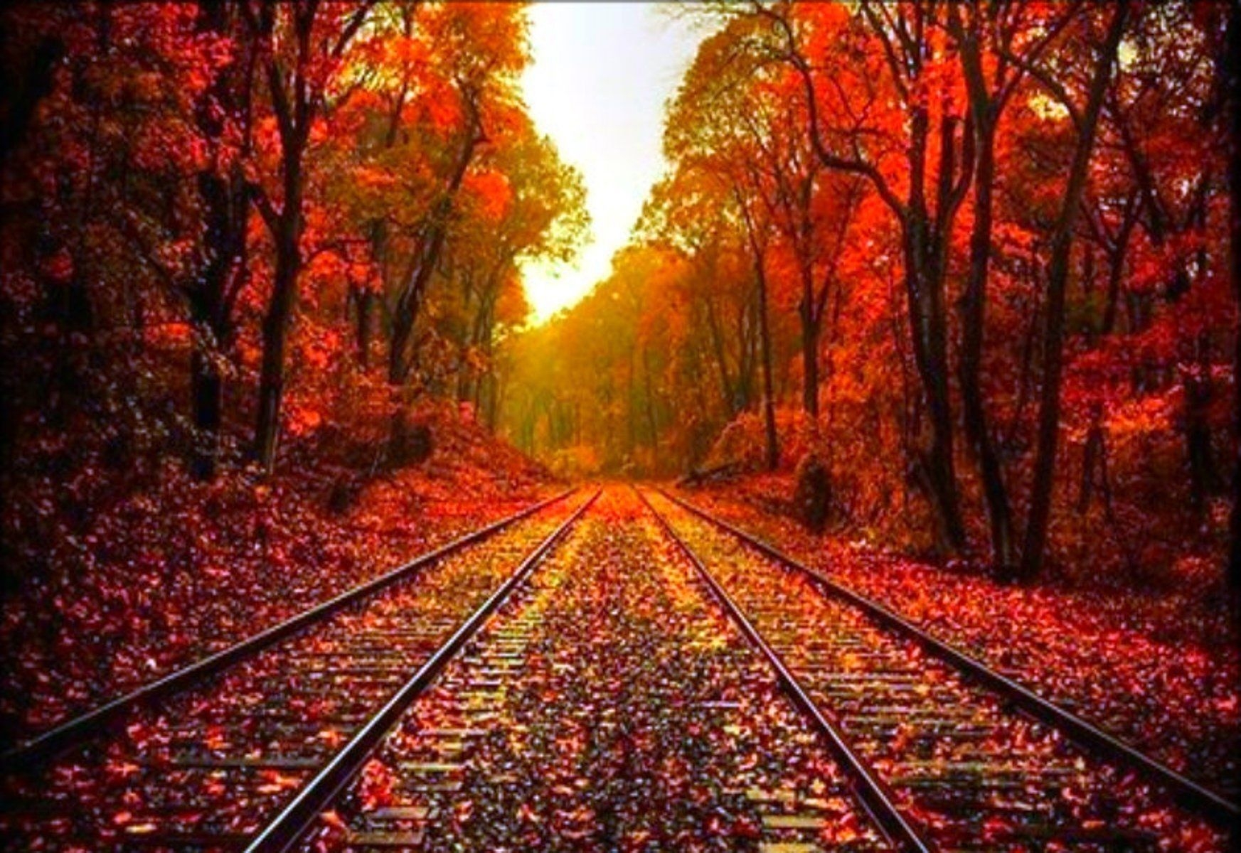 1750x1200 Autumn leaves on the rails wonderful wallpaper. Autumn Wallpaper. Seasons Wallpaper. download beautiful HD Wa. Fall wallpaper, Goodbye summer, Hello autumn, Desktop