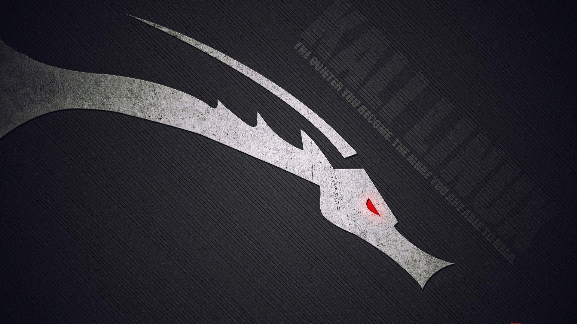 1920x1080 Kali Linux Wallpaper, Desktop