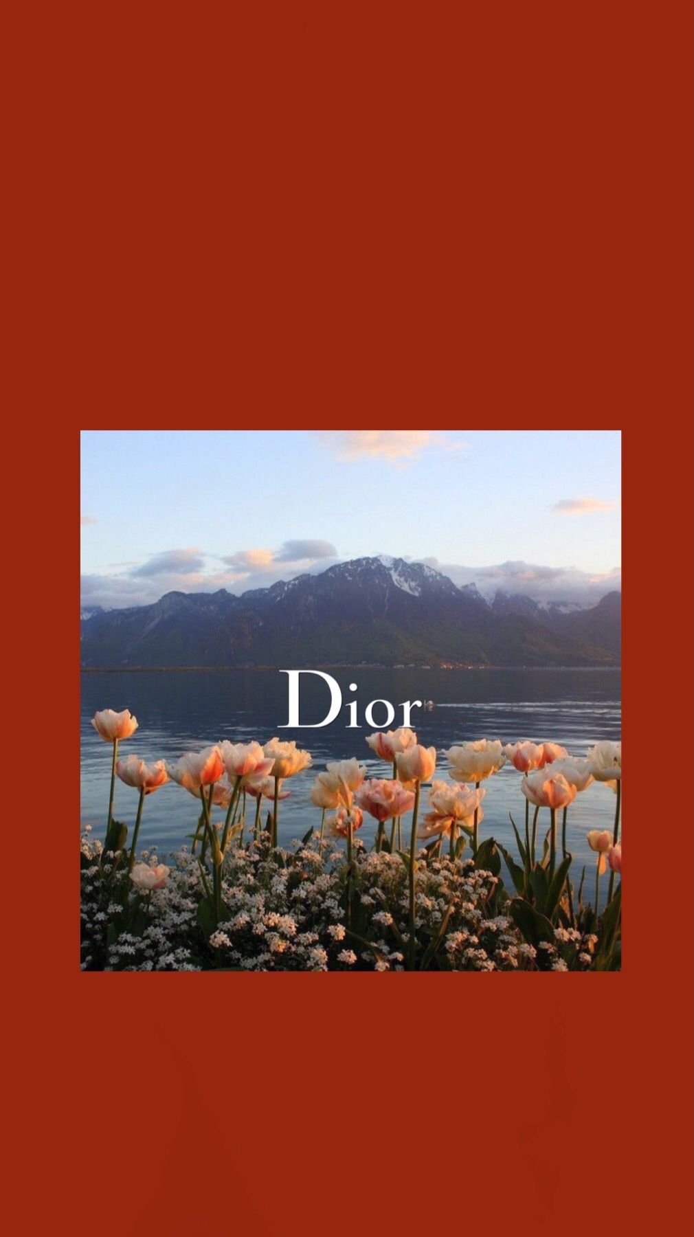 1010x1800 Poppies Dior Wallpaper. Dior wallpaper, Iconic wallpaper, Picture collage wall, Phone