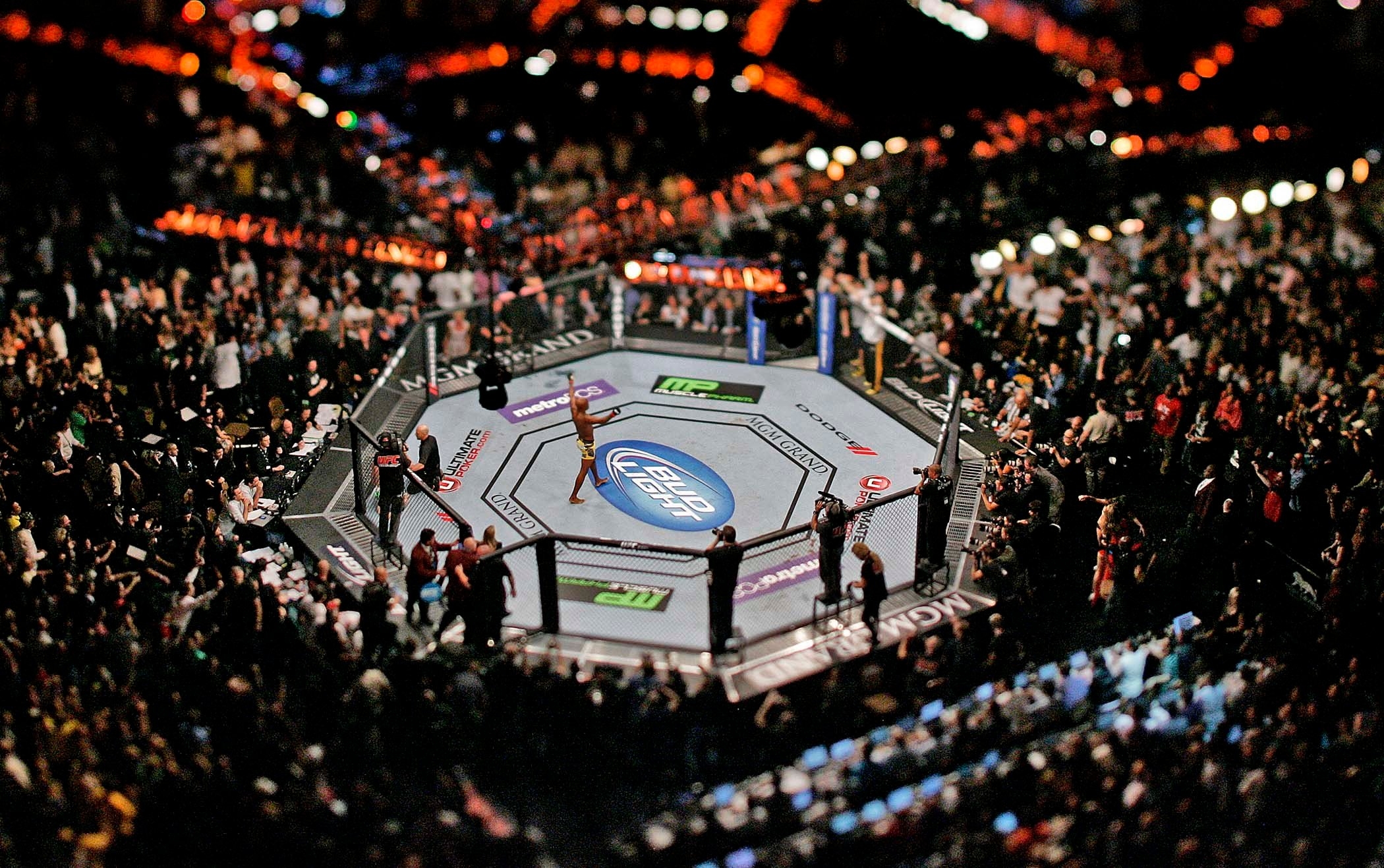 2100x1320 UFC Wallpaper, Desktop