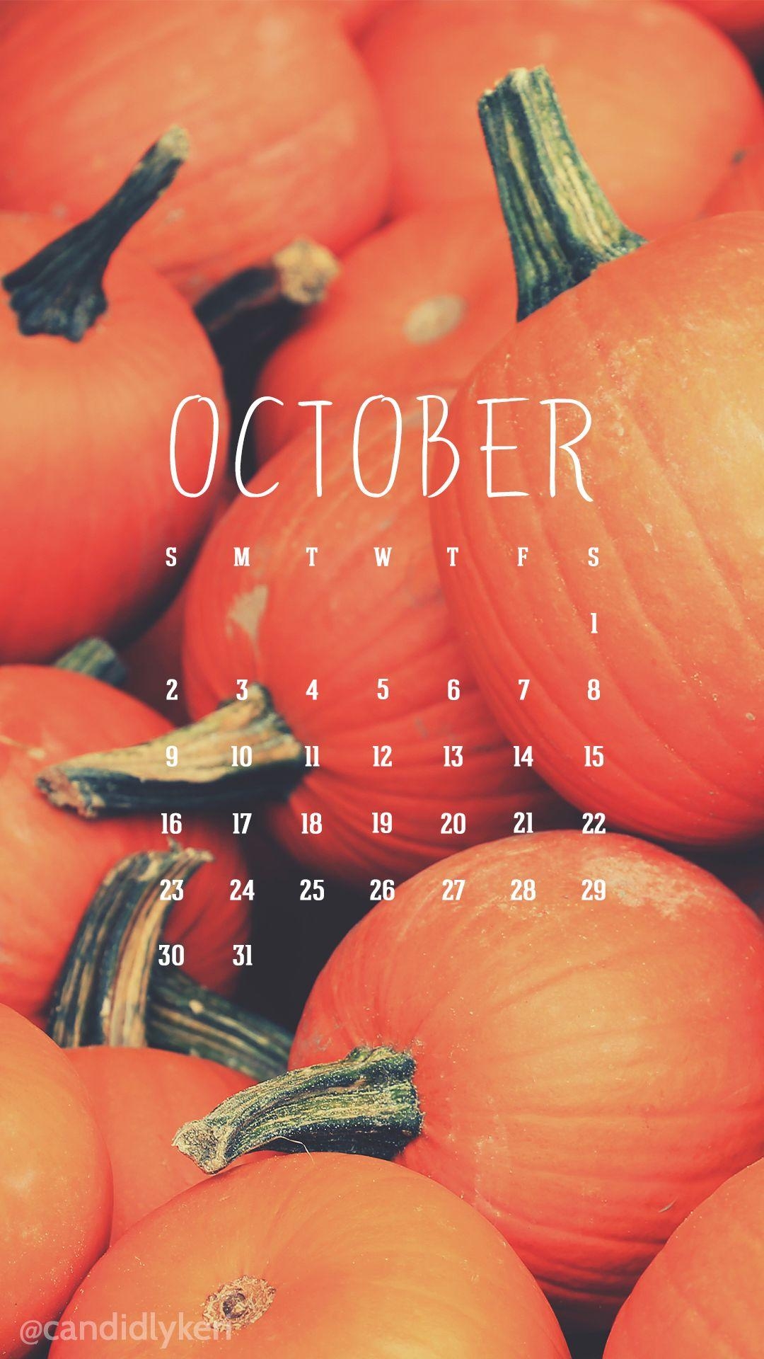 1080x1920 Cute pumpkin patch image October calendar 2016 wallpaper you can, Phone