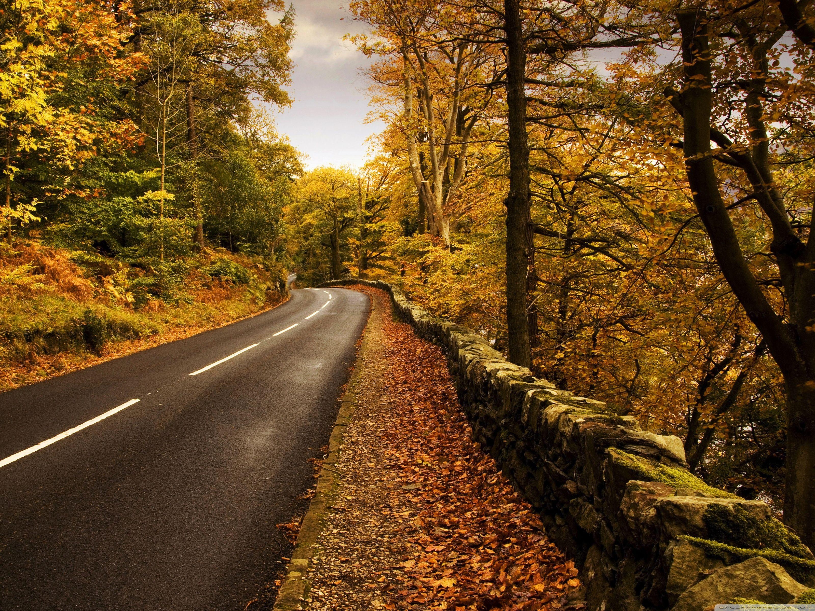 3200x2400 Autumn Road ❤ 4K HD Desktop Wallpaper for 4K Ultra HD TV • Dual, Desktop