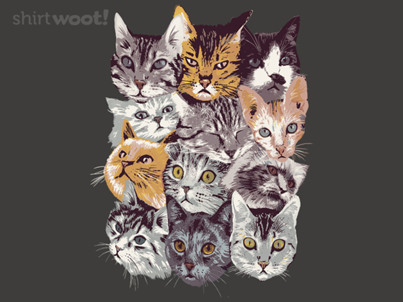 1370x1030 Cat Collage - $15.00 + Free shipping from Woot!. Day of the Shirt, Desktop