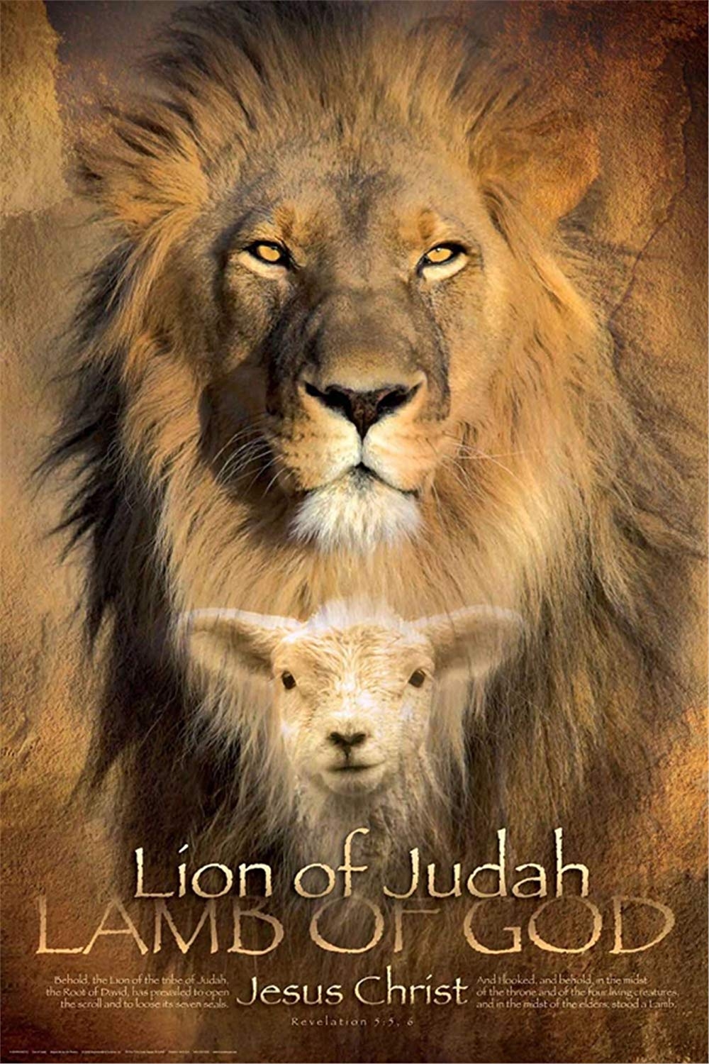 1000x1500 Lion Of Judah Pics, Phone