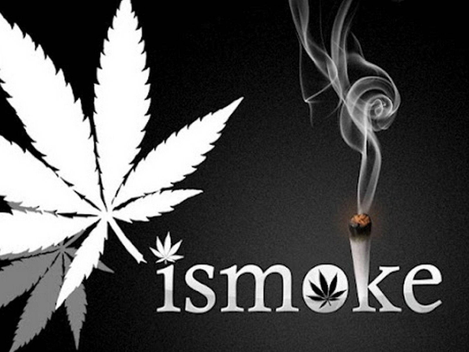 1600x1200 Download I Smoke Weed Wallpaper, Desktop