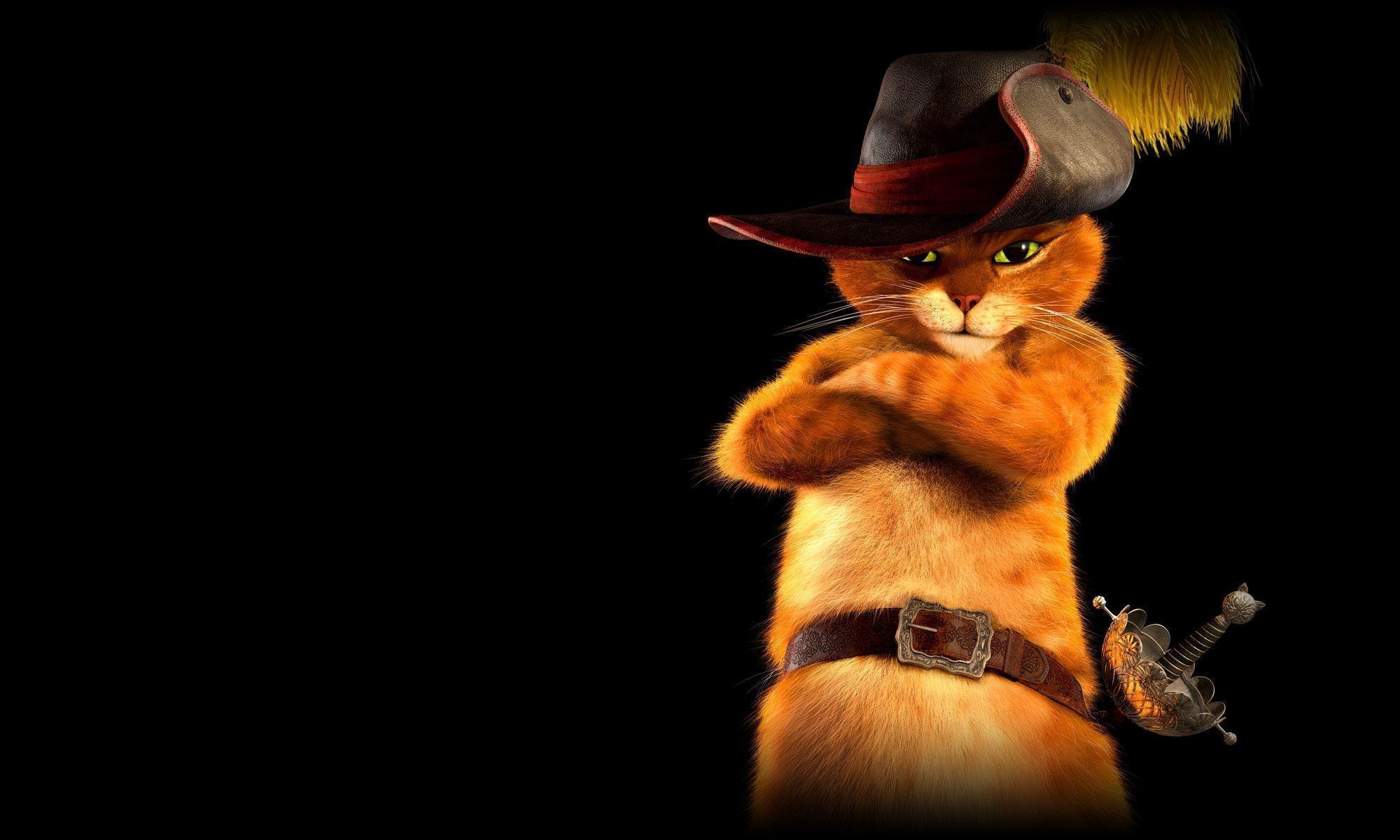 2000x1200 Puss In Boots HD Wallpaper, Desktop